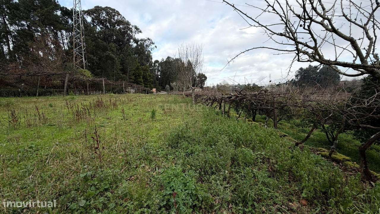 Moradia V3 - Termas de S. Vicente, Penafiel-32