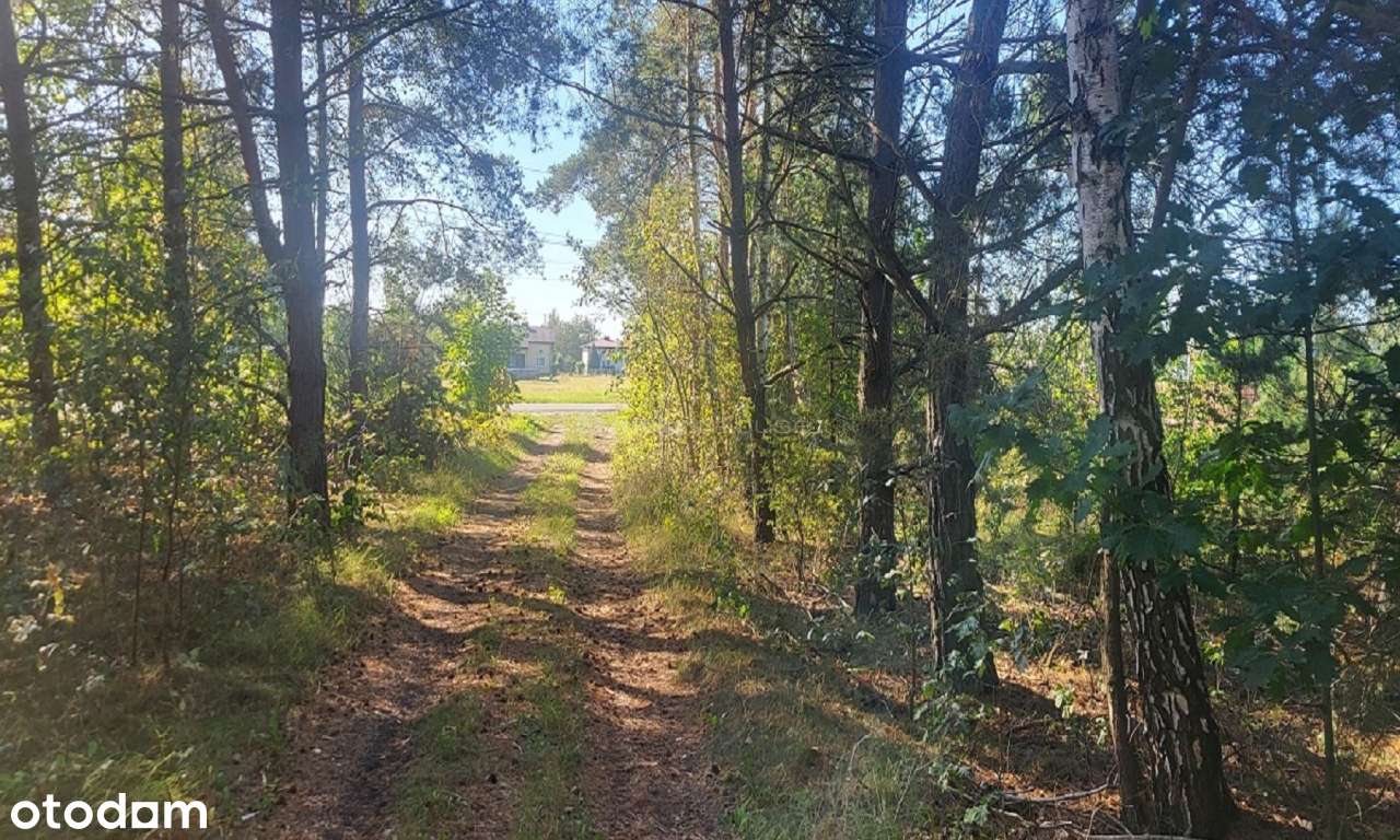 Dom na sprzedaż, Nowa Mała Wieś - Pełny obrazek: 4/20