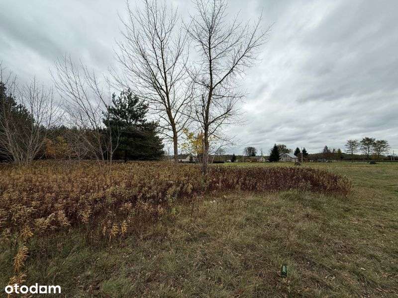 Duża atrakcyjna działka z warunkami zabudowy w atrakcyjnej cenie! - Pełny obrazek: 4/8