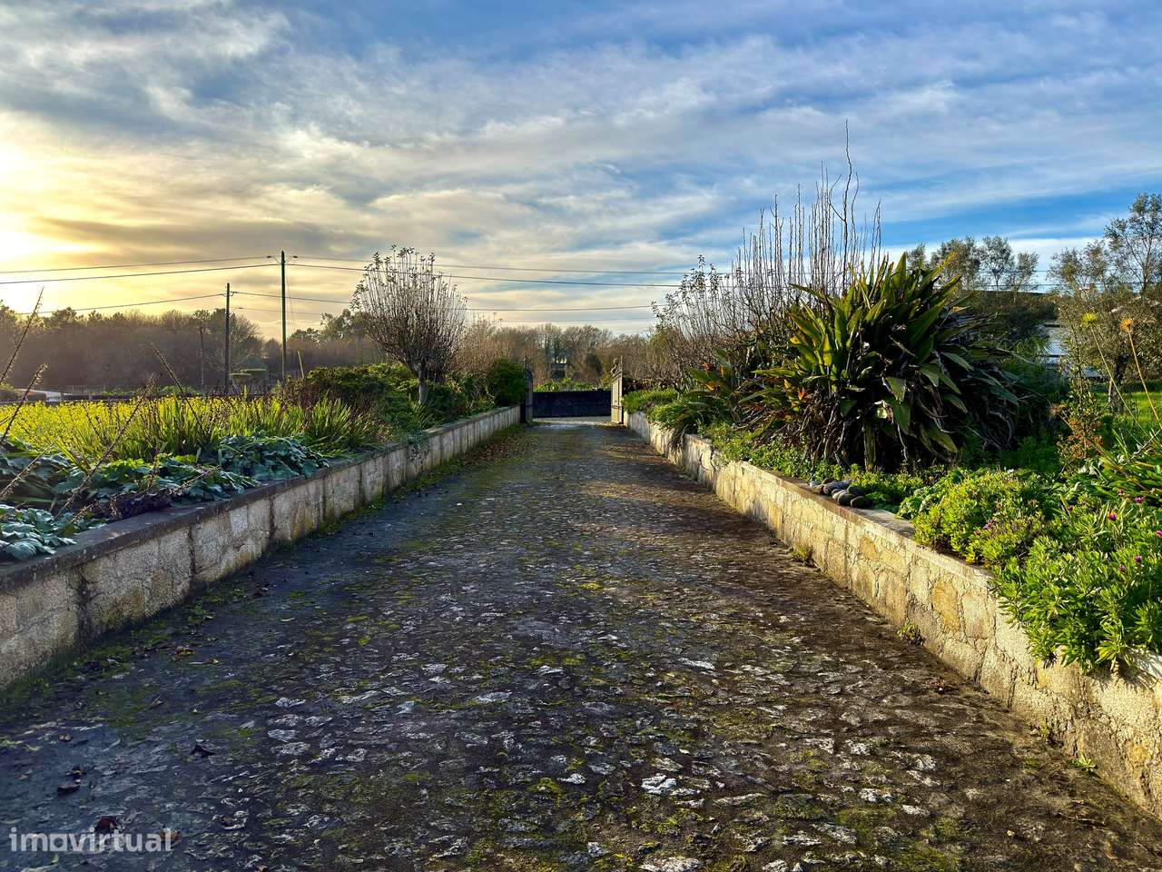 Quinta T5+1 Venda em Cardielos e Serreleis,Viana do Castelo-36
