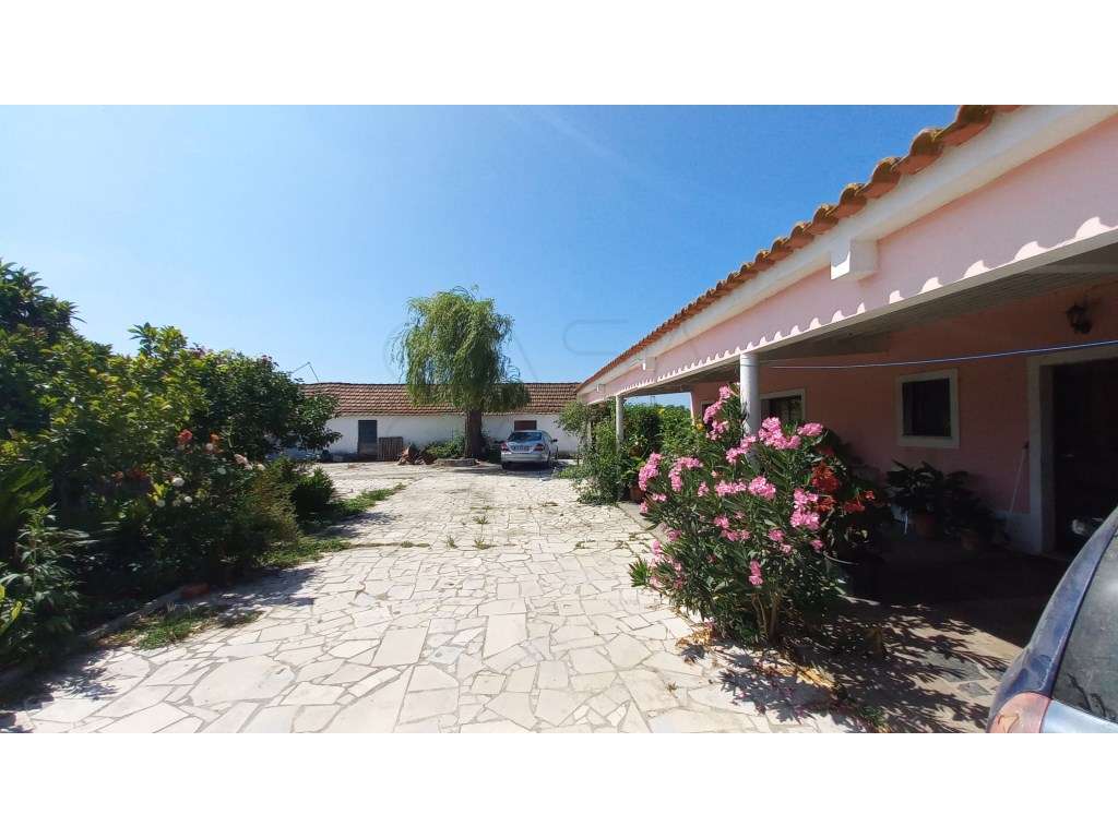 Herdade vinhateira próxima de Setúbal-25