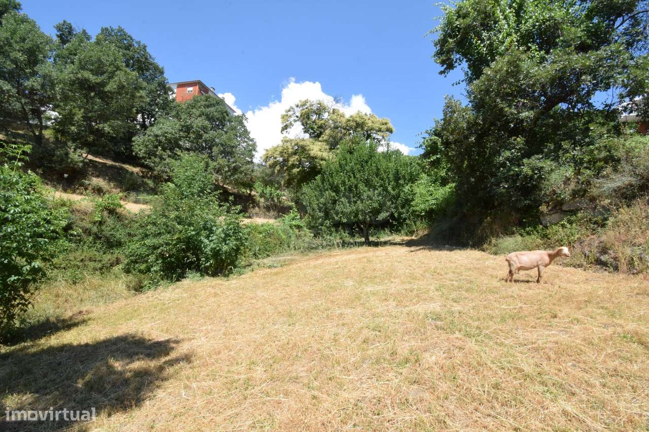 Terreno com 4.522 m² e Viabilidade de Construção - Vila do Carvalho-25