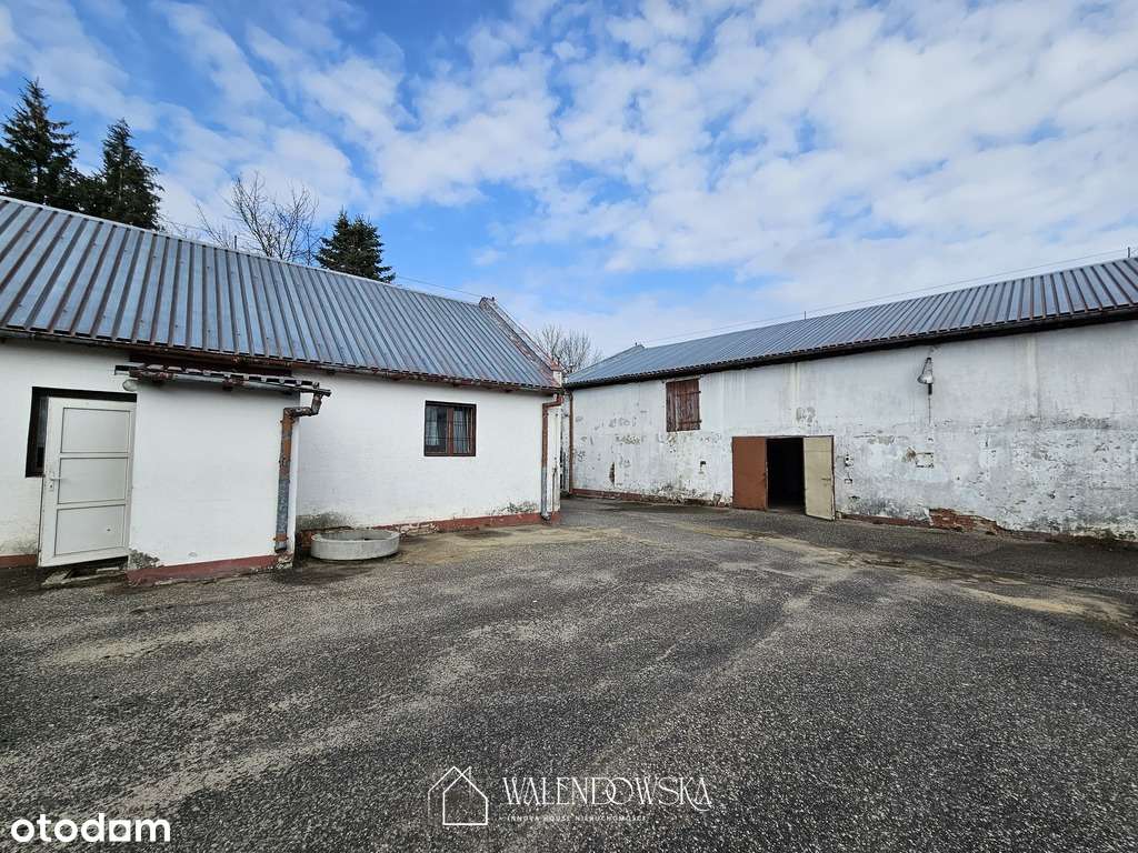 Na sprzedaż nieruchomość inwestycyjna – Staniewice-5