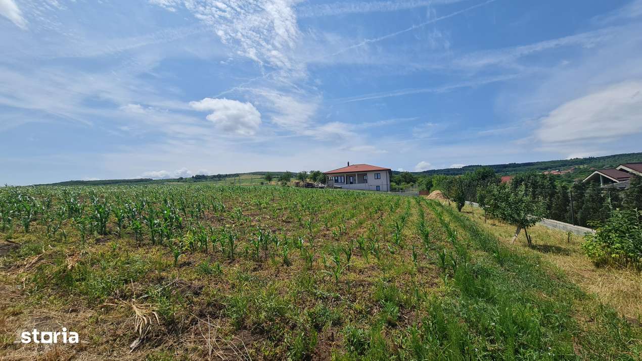 Teren Intravilan 1846 mp Casa | Duplex-3