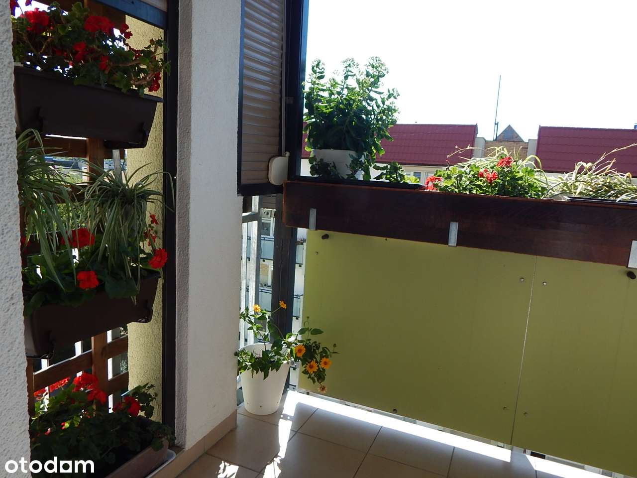 niezależne pokoje,  balkon-1