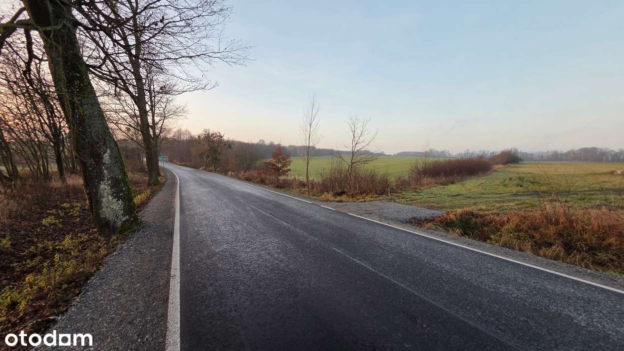 Na sprzedaż działka w miejscowości Młynary - Pełny obrazek: 3/17