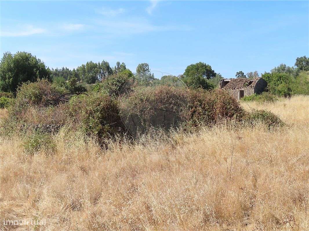 Quinta  para venda-26