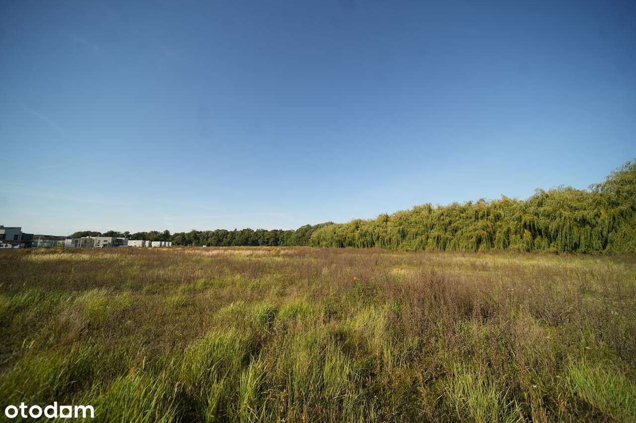 Działka w super cenie! Wszystkie media!-6