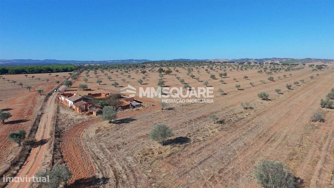 Herdade  Venda em Garvão e Santa Luzia,Ourique-6