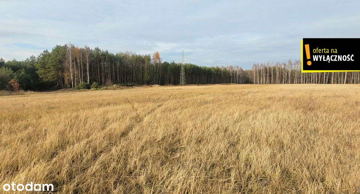 Działka blisko lasu.-11