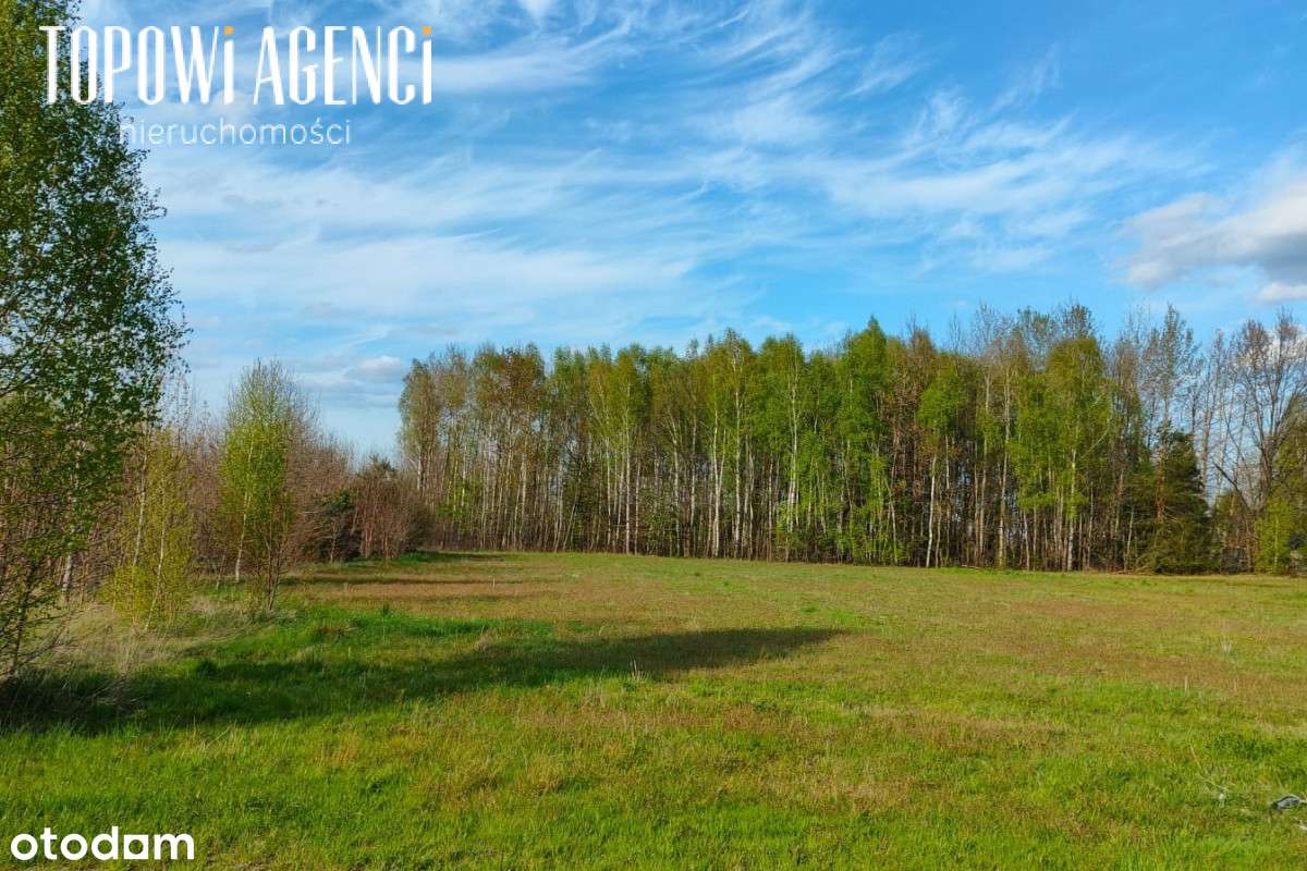 Na sprzedaż działka usługowa przy S17-6