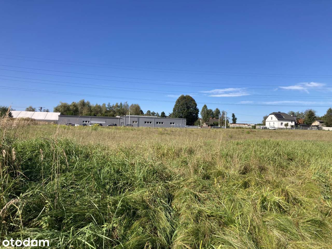 Okazja! Gardawice działki produkcyjno- usługowe 40,5 ara plus dojazd - Pełny obrazek: 4/8
