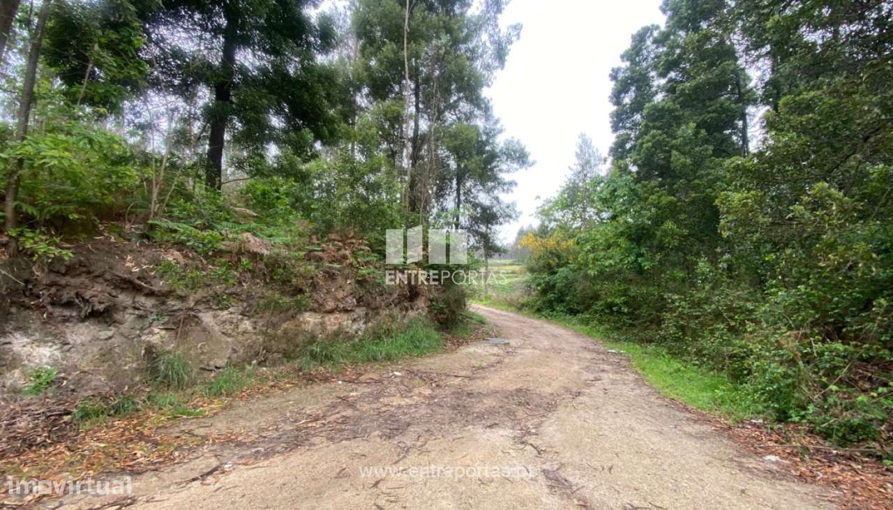 Venda de Terreno com 10.000 m2, Tougues, Vila do Conde - Grande imagem: 3/14