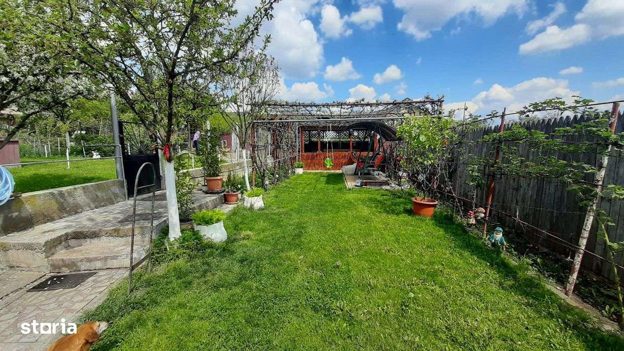 Casa moderna, foarte spatioasa, cu  1500 mp teren, în  Dambul Rotund - Imagine principală: 4/20