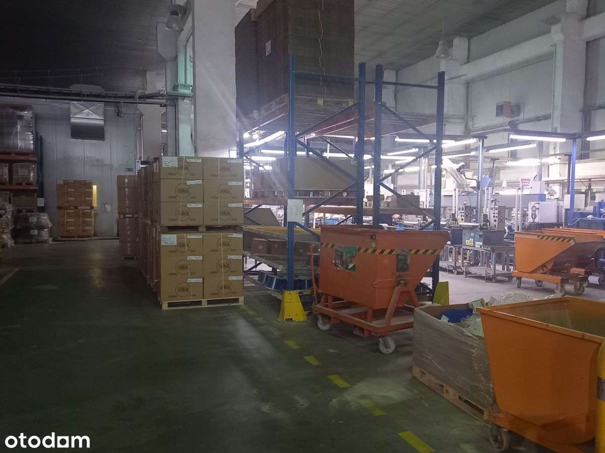 Hala Magazynowo Produkcyjna - Pełny obrazek: 4/11