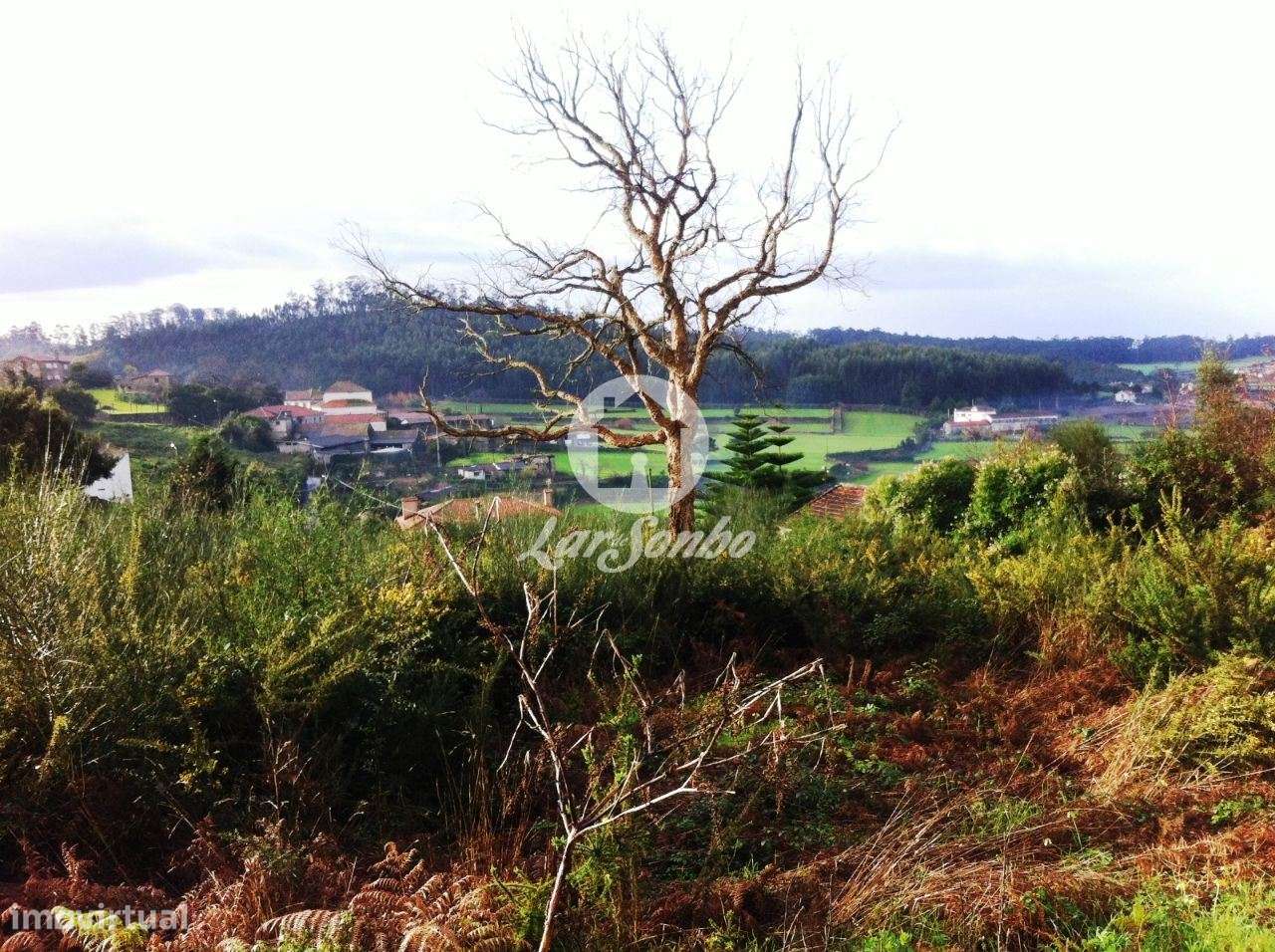 Terreo para construção c/ 2.730m2 em Fornelo - Vila do Conde - Grande imagem: 5/5