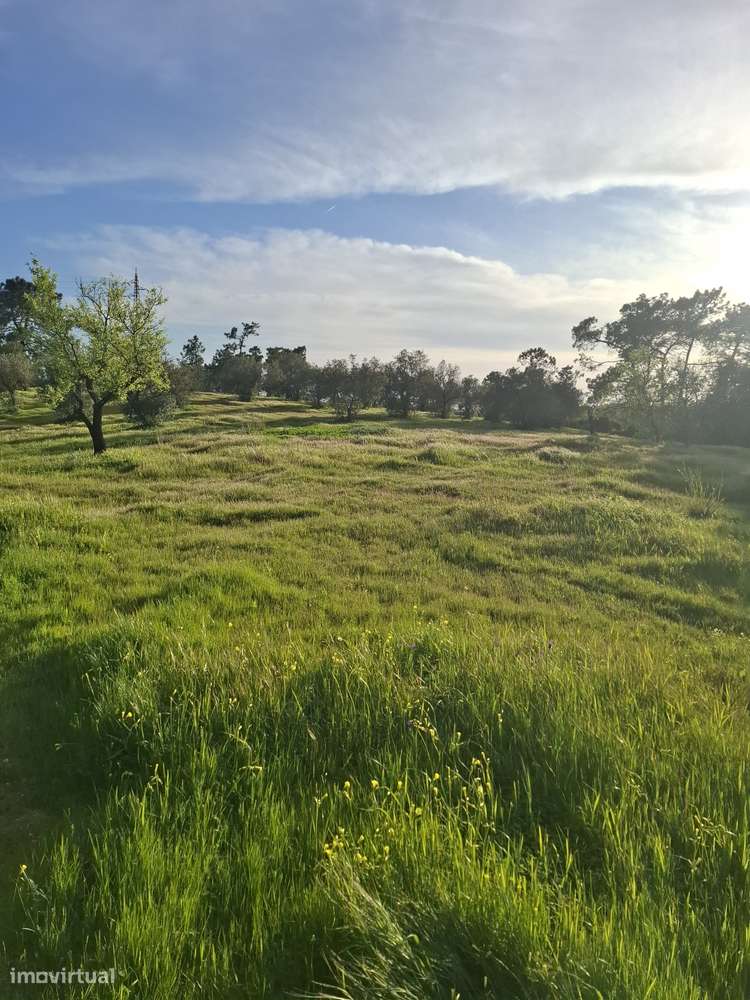 Com vista para serra e mar - Grande imagem: 3/5