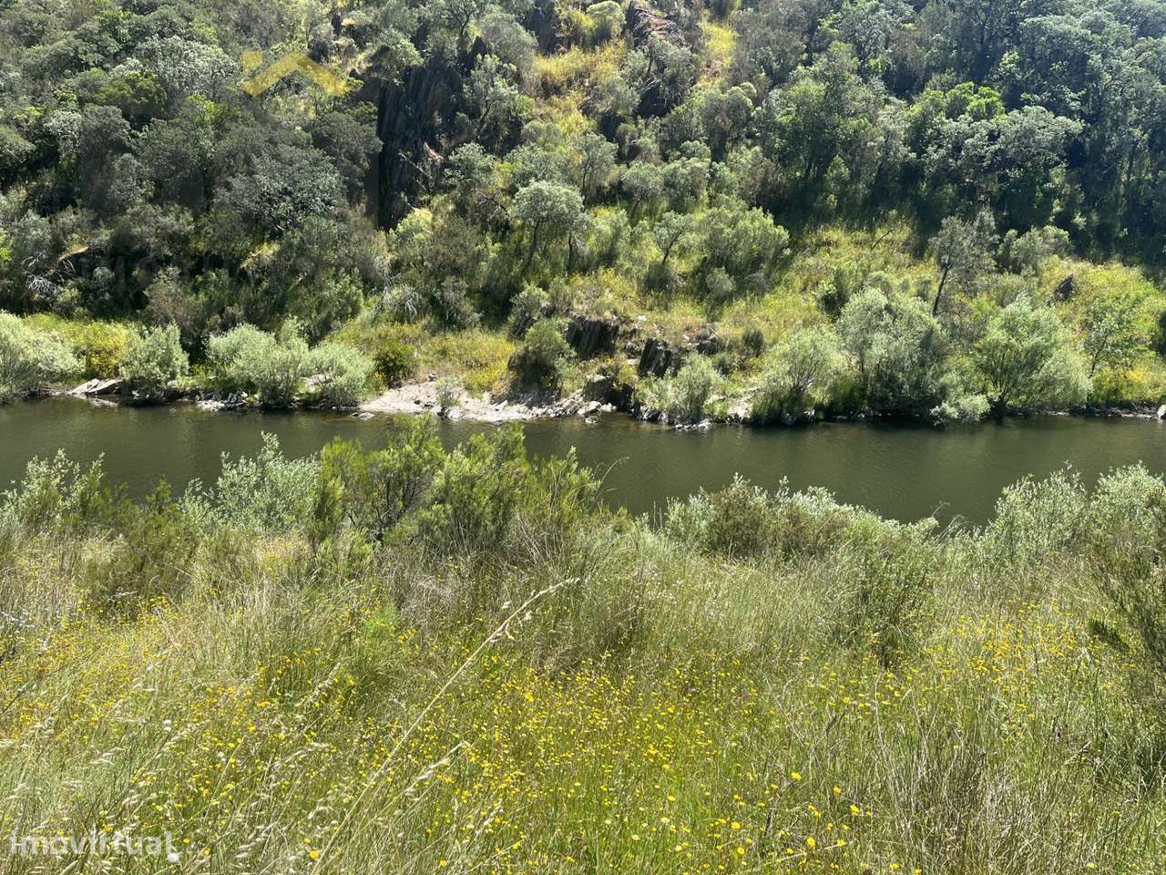 Terreno Rústico  Venda em Sarzedas,Castelo Branco - Grande imagem: 5/14