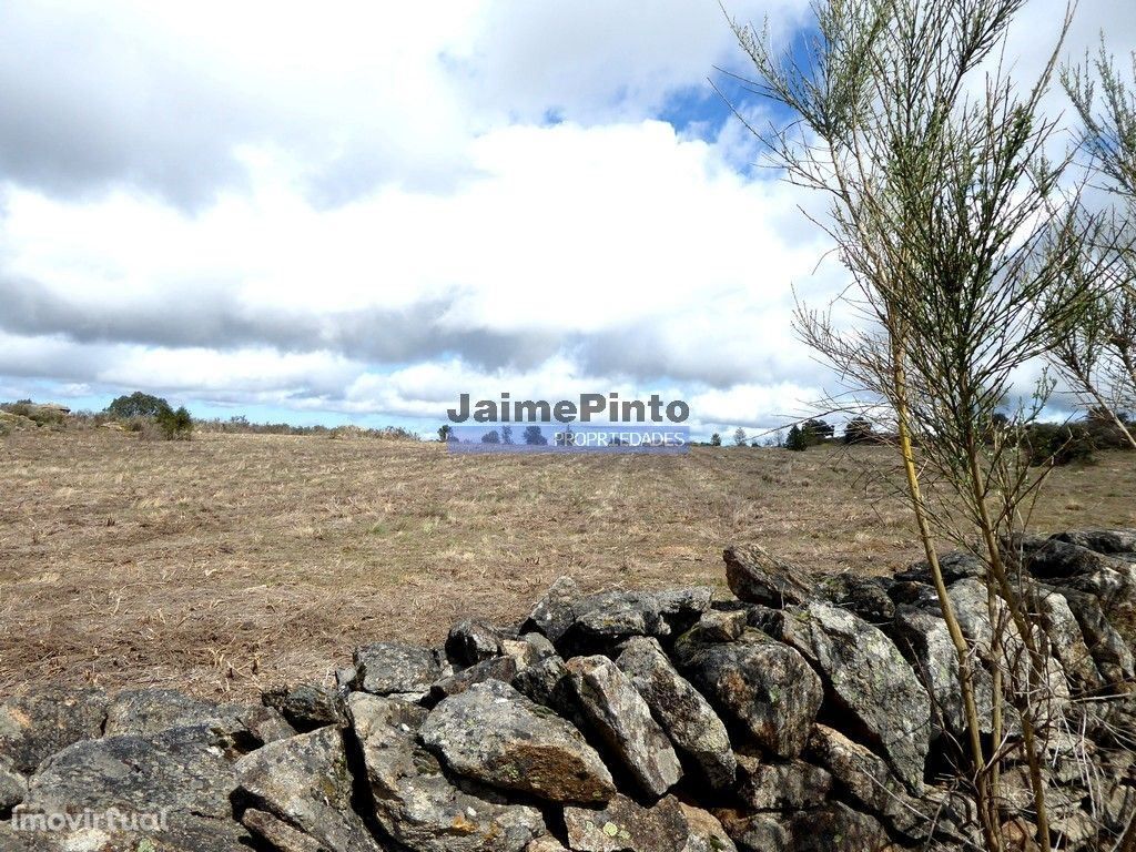 Propriedade 220.000m2 para plantação agrícola. Portugal, Guarda, F....