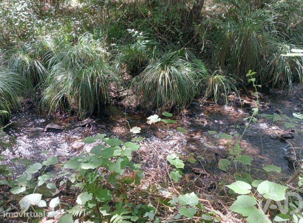 Casa em Pedrógão Grande de 50,00 m2 - Grande imagem: 3/29