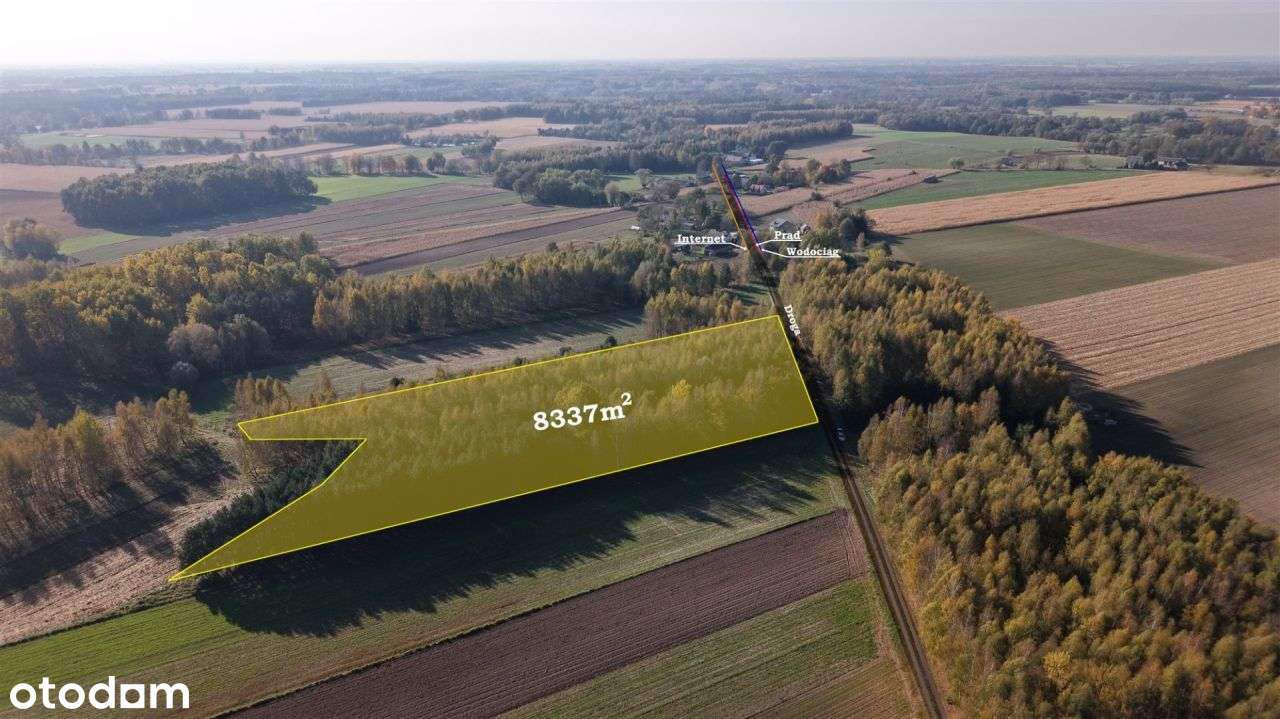 Duża zadrzewiona działka nieopodal Wkry.-7