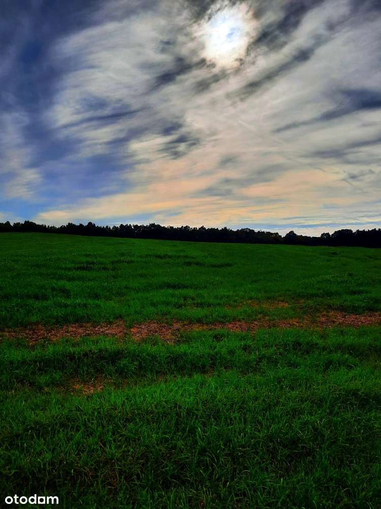 Działka inwestycyjna idealna pod zabudowę i usługi - Pełny obrazek: 3/9