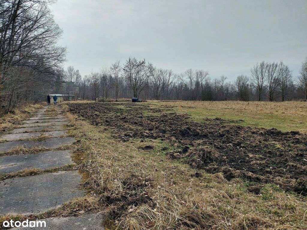 Działka komercyjna w Bogatyni - Pełny obrazek: 5/16