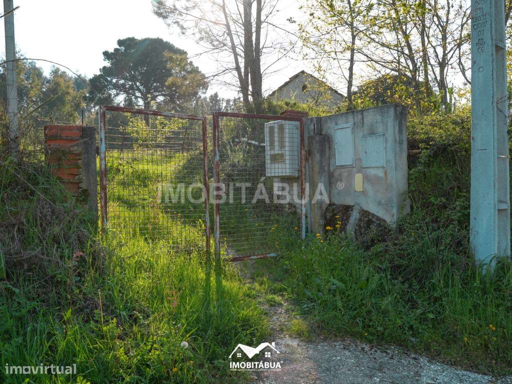 Terreno agrícola com barracão em Candosa - Grande imagem: 5/15