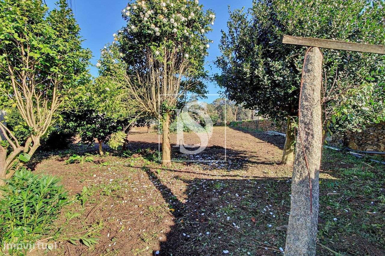 Moradia p/ Restauro c/ terreno - Laúndos - Póvoa de Varzim - Grande imagem: 4/7