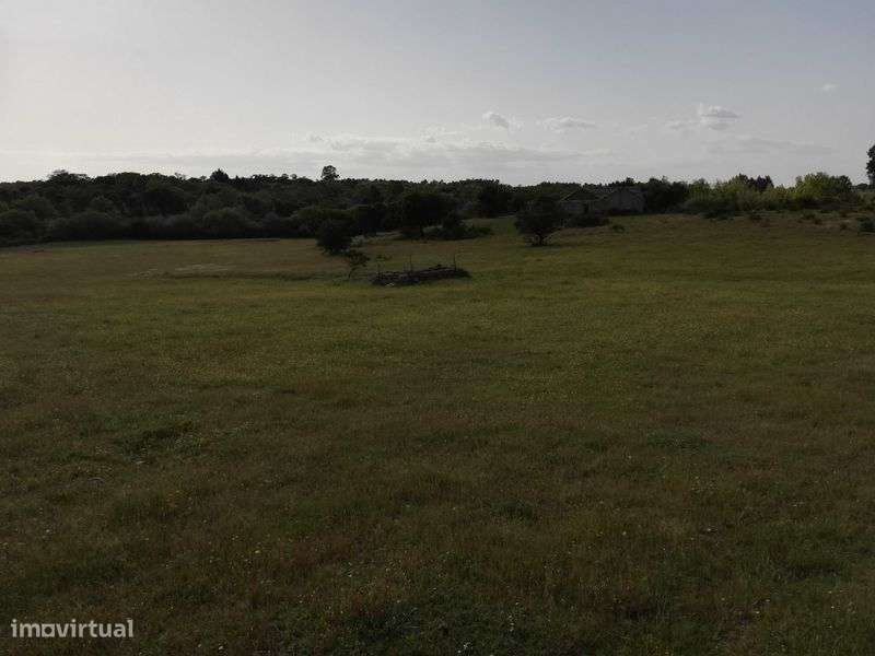 Terreno ideal para refugio de campo, Nisa - Grande imagem: 5/11