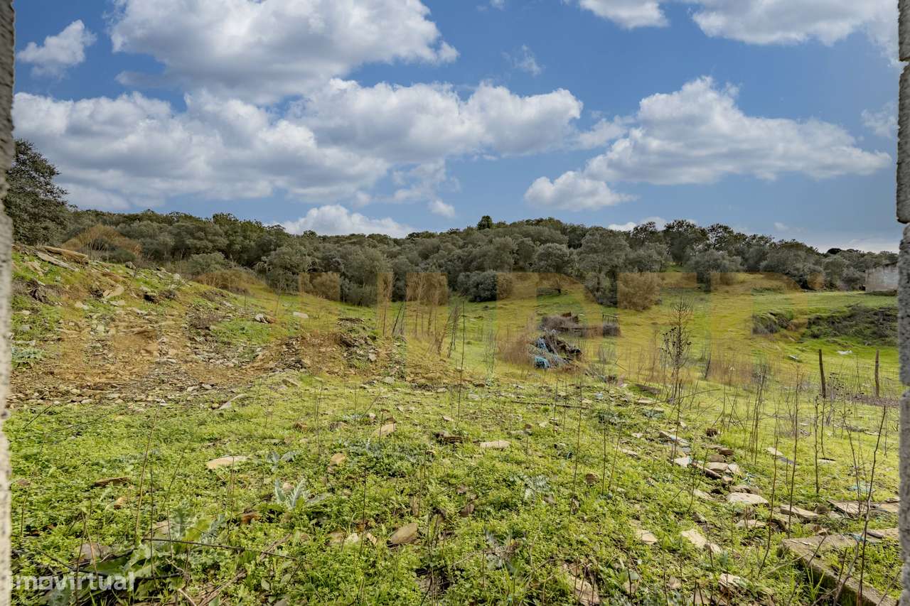 Quinta do Arieiro - Cedovim | Vila Nova de Foz Côa | Douro Superior-50