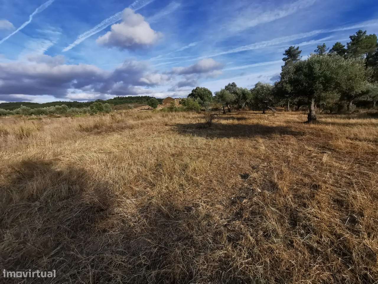 Terreno Rústico em Freixial e Juncal do Campo, Castelo Branco - Grande imagem: 3/8