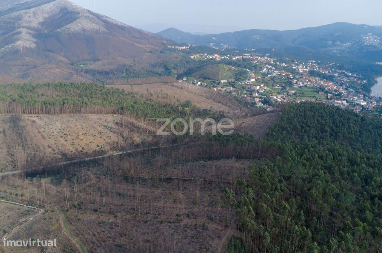 Terreno florestal urbanizável com 7.800 m2 - Rio Mau, Penafiel - Grande imagem: 5/9