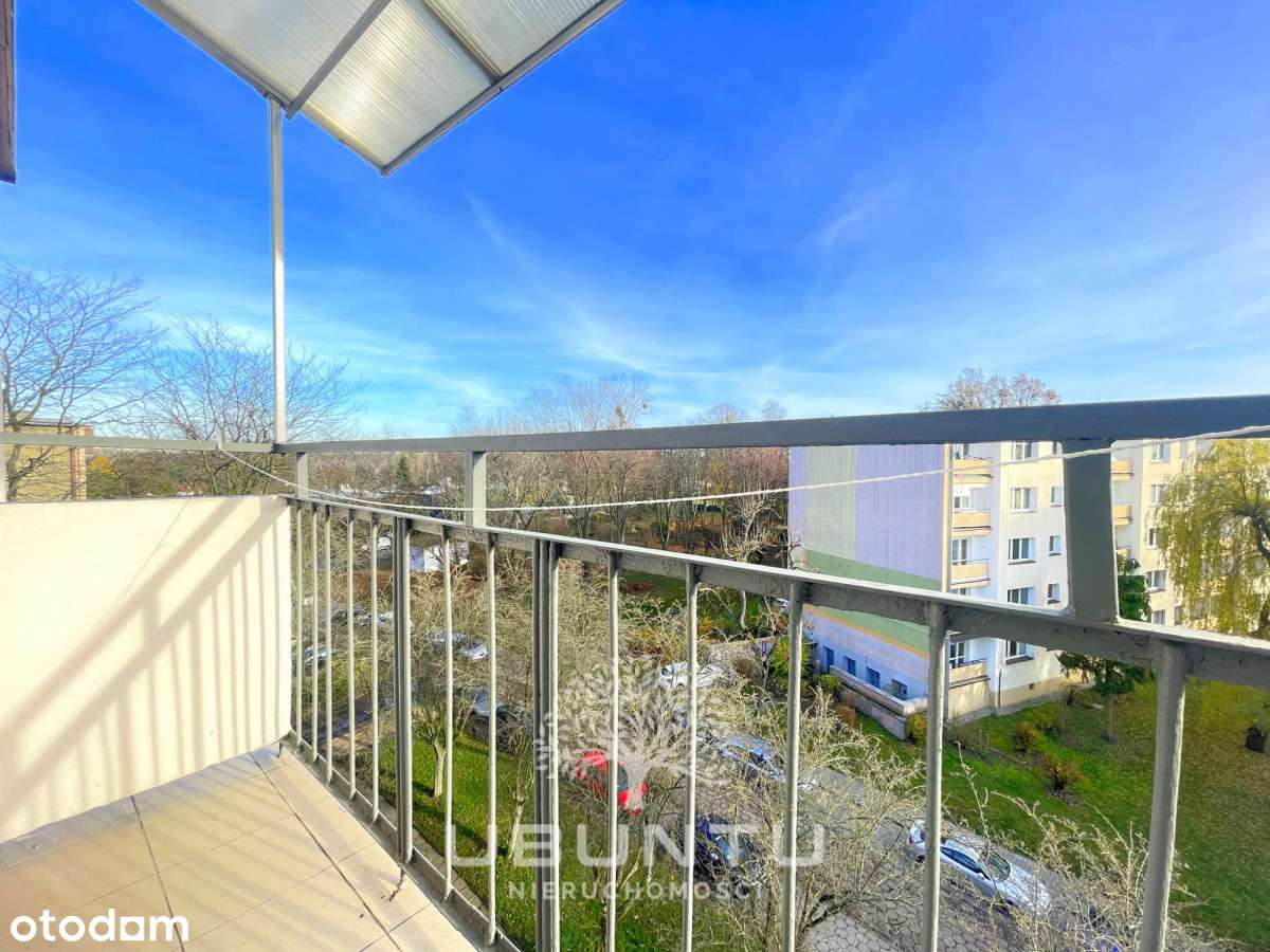 3 pokoje | Do remontu | Karolew - zielona oaza-6