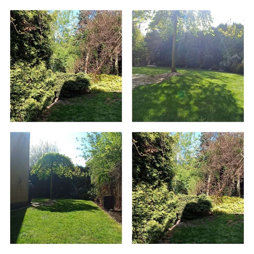 Słoneczne Wzgórze, klimatyczny dom z pięknym ogrod-15