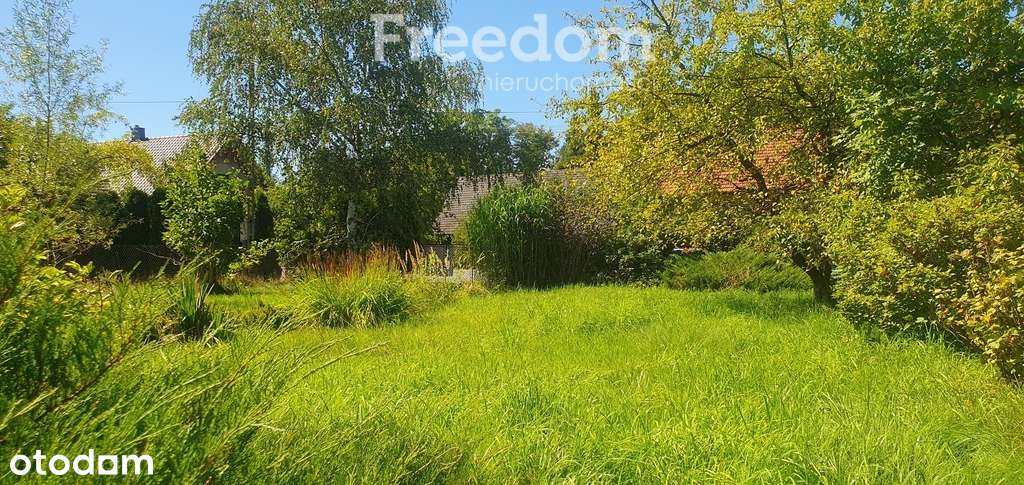 Duża działka budowlana z domkiem i sadem.-5