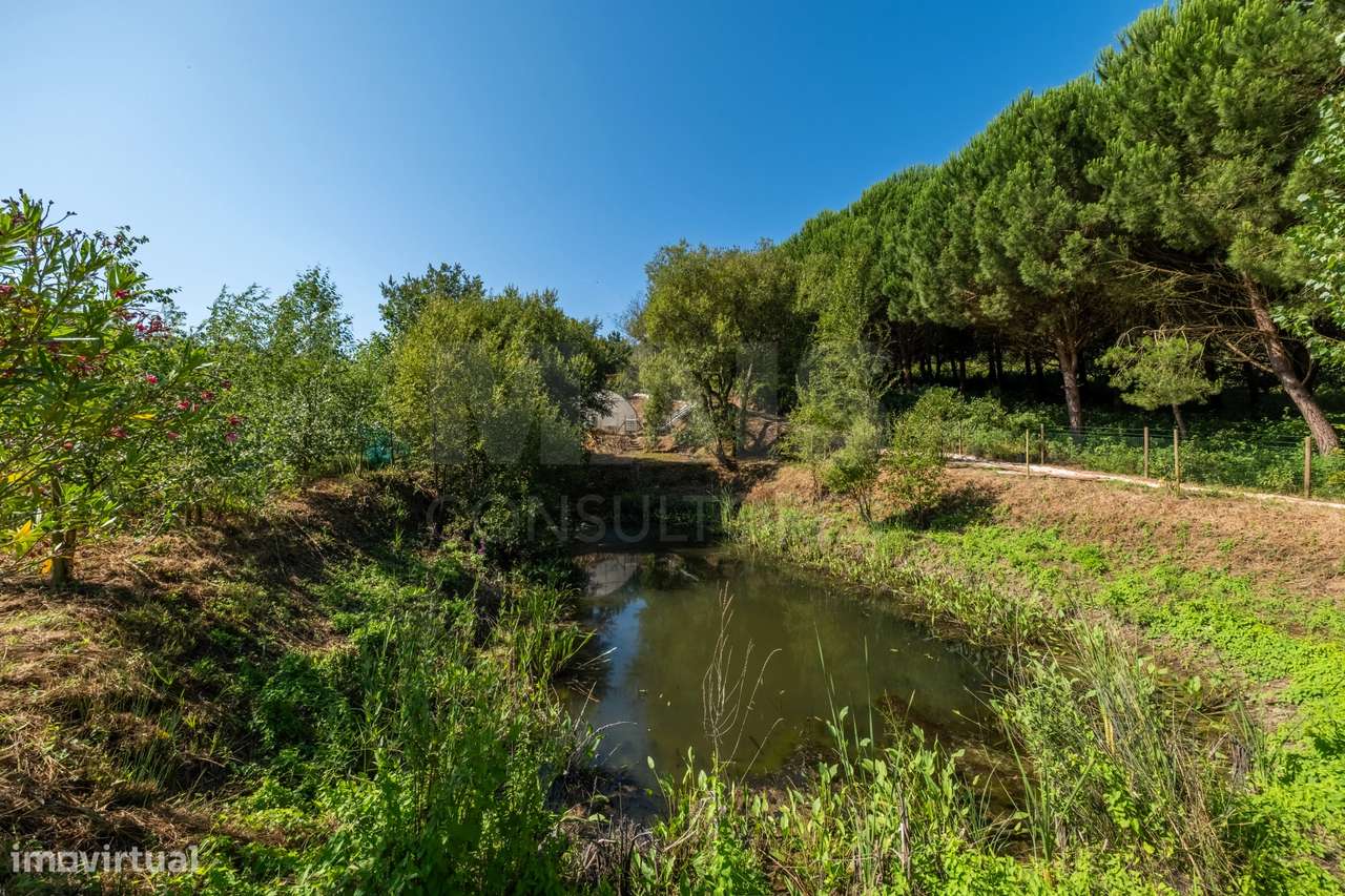 Terreno Agrícola na Fanadia | 16.100 m² de Potencial e Infraestrutu...-13