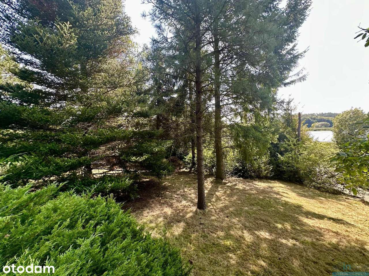 Dom z potencjałem |  22ar działka |  tylko 9 km od Rynku Głównego-13