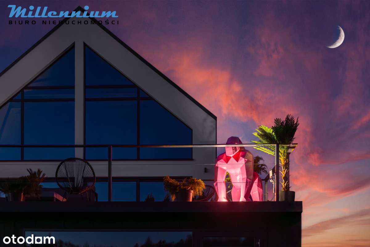 Tylko jedna sztuka w promocyjnej cenie!!!!-1