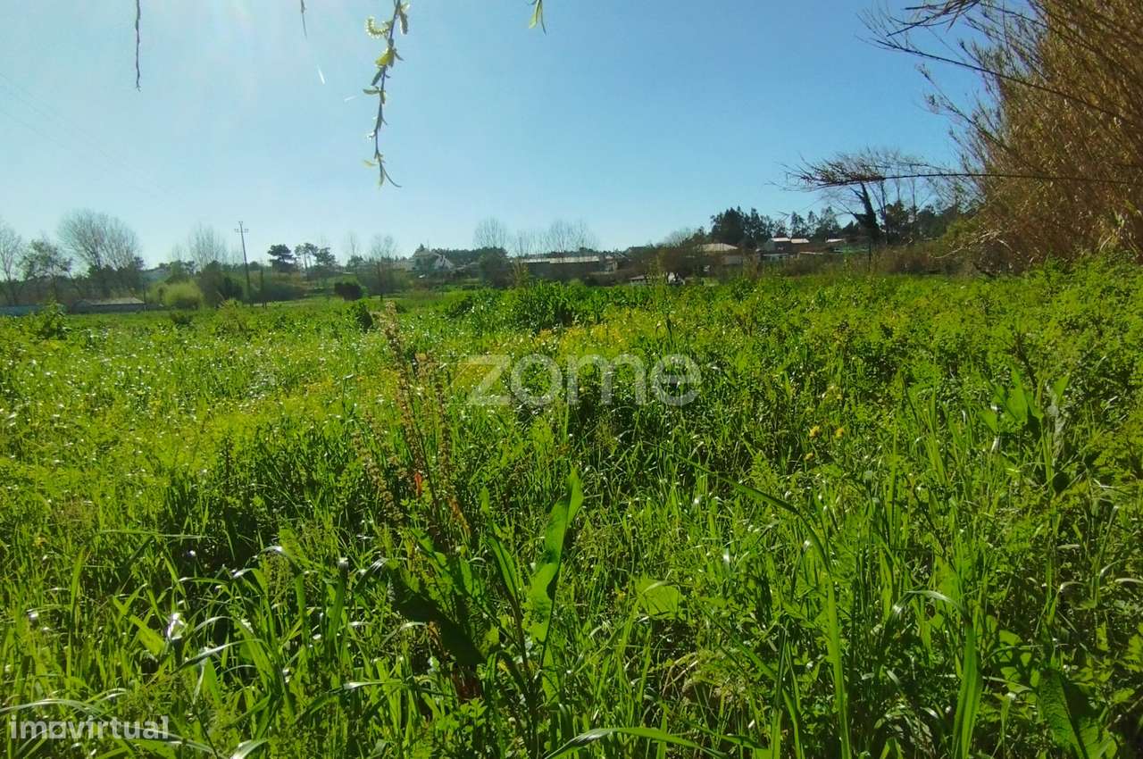Terreno Rústico Leirão-9