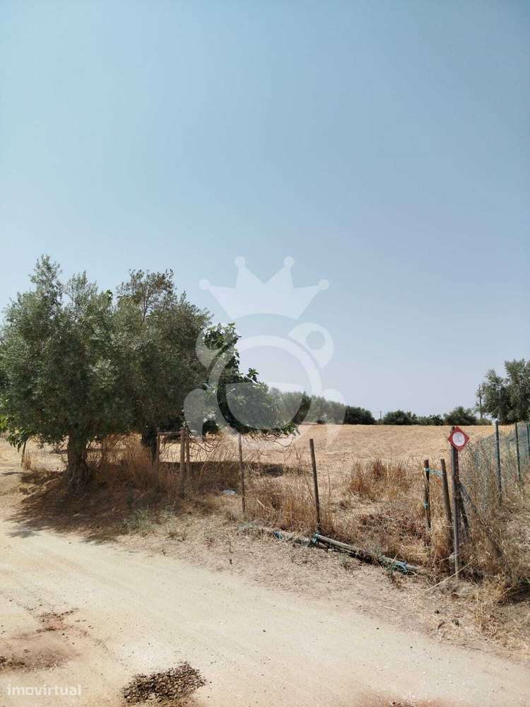 Ferragial das Casa Novas - Grande imagem: 4/11