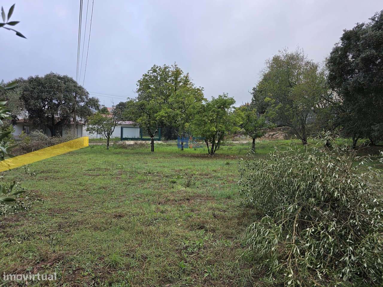 Lotes de Terreno para Construção em Fátima-22