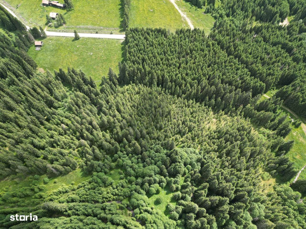 Teren extravilan 5000 MP Comandau-10