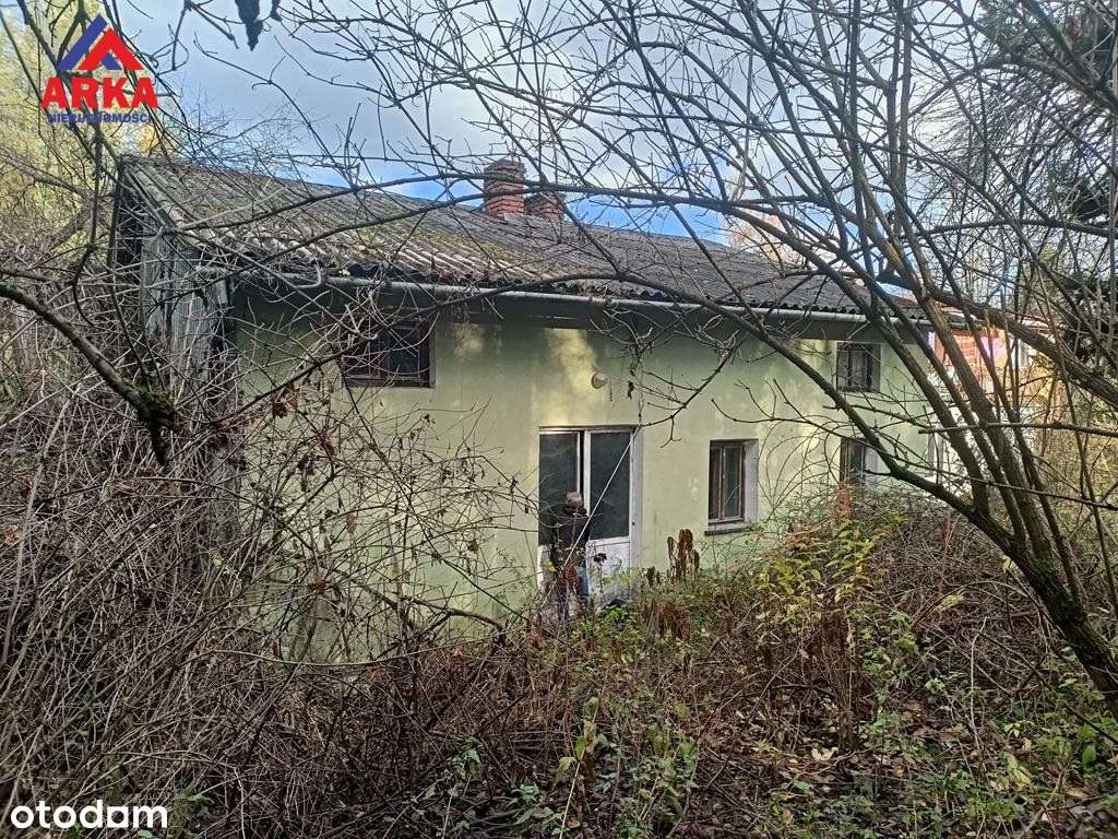 Dom do remontu na dużej działce-1
