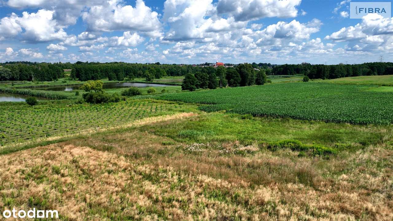 Bogactwo działki rolnej w Lyskach - Pełny obrazek: 2/20