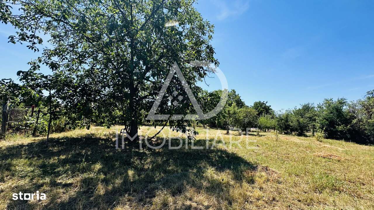 Vânzare casă pe parter în Târgu-Jiu, Strada Bucegi - Imagine principală: 4/9