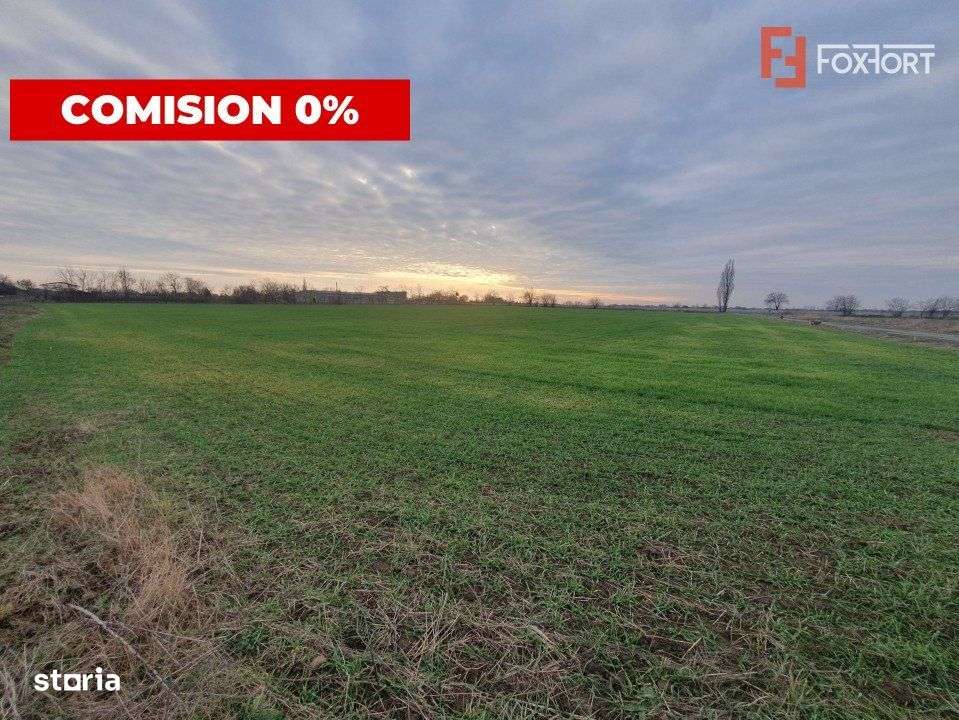 Comision 0% Teren extravilan agricol 21,32 ha sau intravilan cu PUZ ap - Imagine principală: 5/19