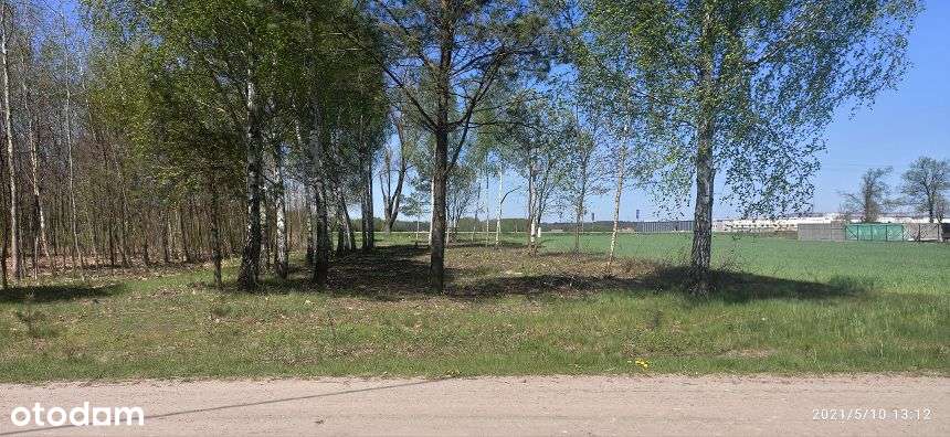 Działka Kołbiel Człekówka BEZ PROWIZJI-9