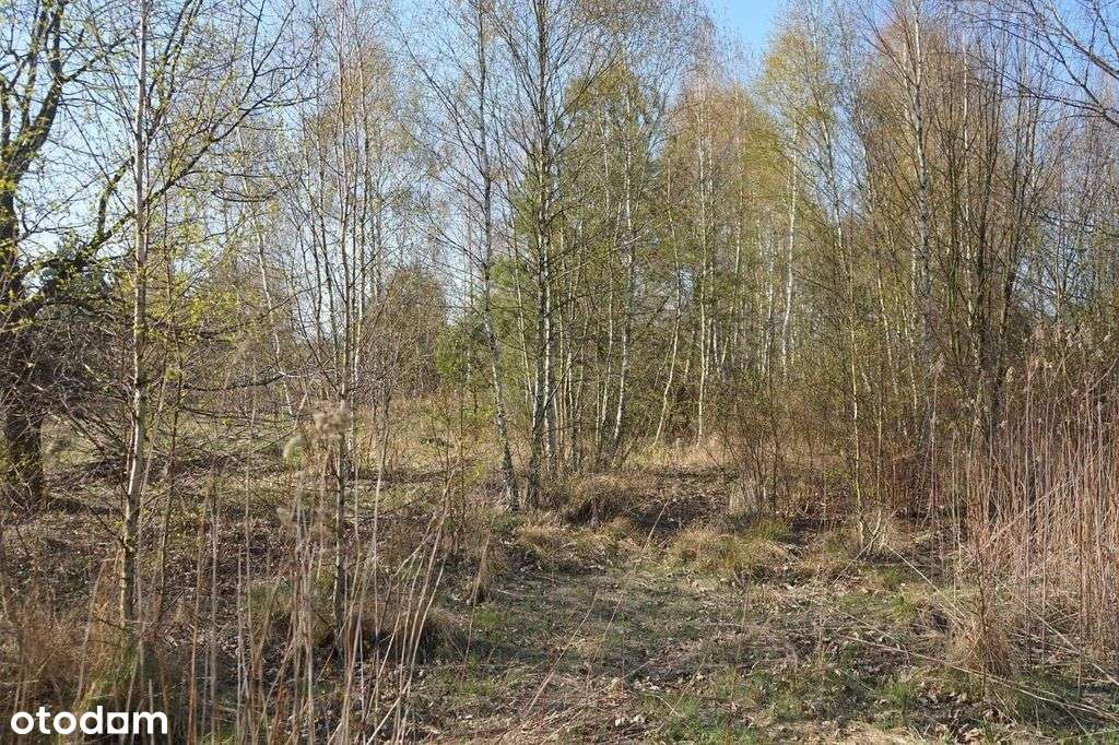 Stanisławów działka przy drodze głównej - Pełny obrazek: 3/7