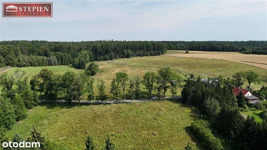 Działka z projektem podziału pod Jaworem - Pełny obrazek: 5/9